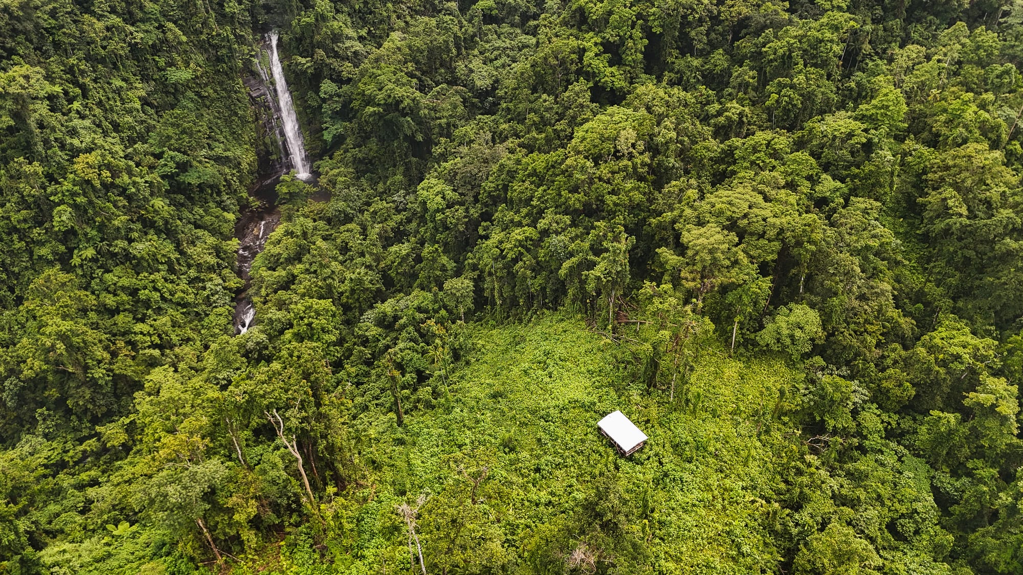 IKI Supports Two Ranger Camps to Protect Guadalcanal’s Sky Islands