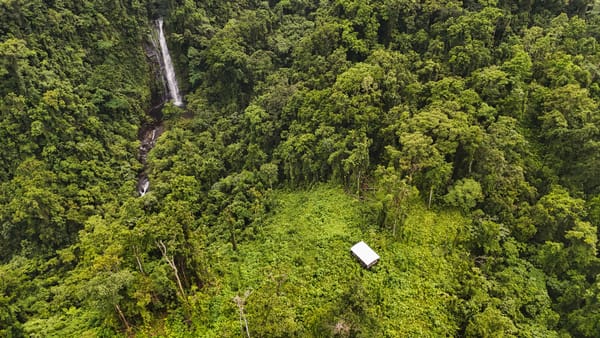 IKI Supports Two Ranger Camps to Protect Guadalcanal’s Sky Islands